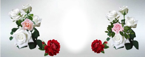 roses Photomontage