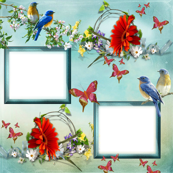 Cadre fleurs papillon Photo frame effect