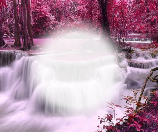 cascade rose Фотомонтаж