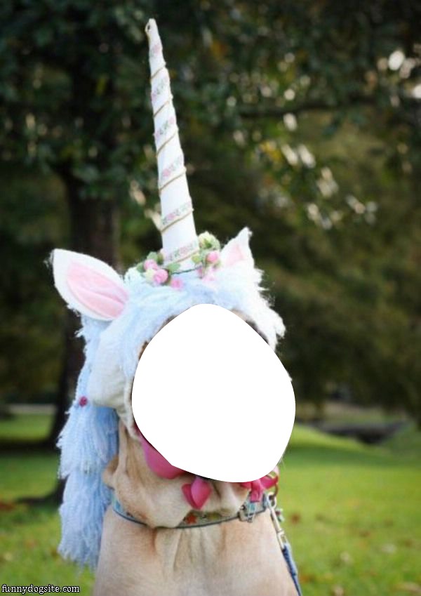 Unicorn dog Fotomontasje