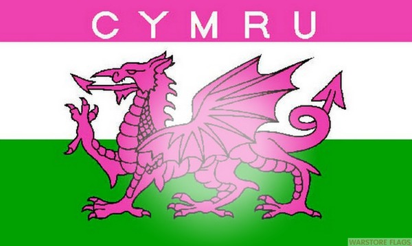pink welsh Montage photo