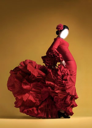 flamenco Fotomontáž