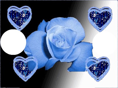rose bleu coeur Photomontage