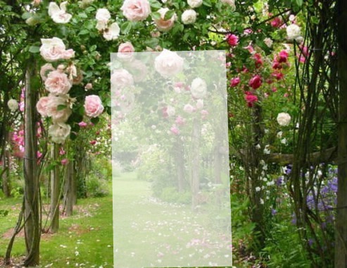 jardim de rosas Fotomontagem