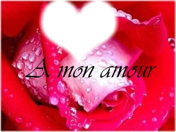 amour Fotomontaža
