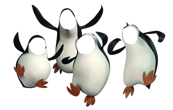 Pinguins Madagascar Montaje fotografico