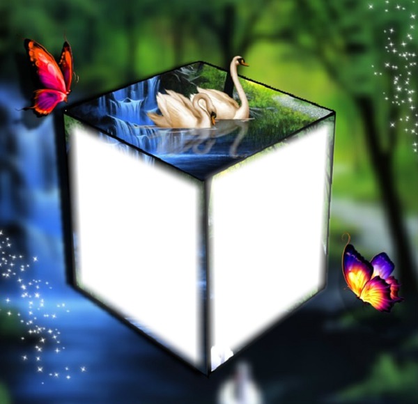 Cube Photo frame effect