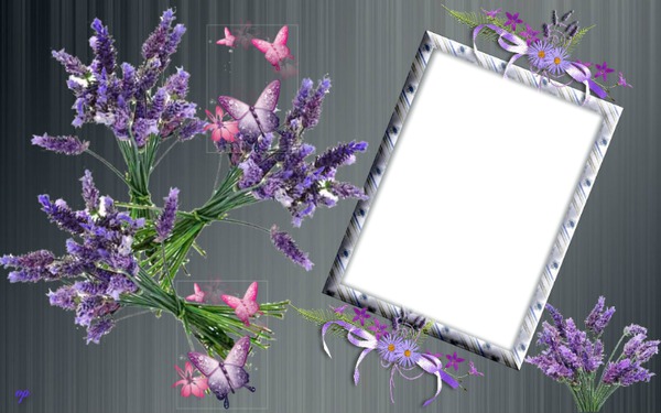 cadre fleurs* Montaje fotografico