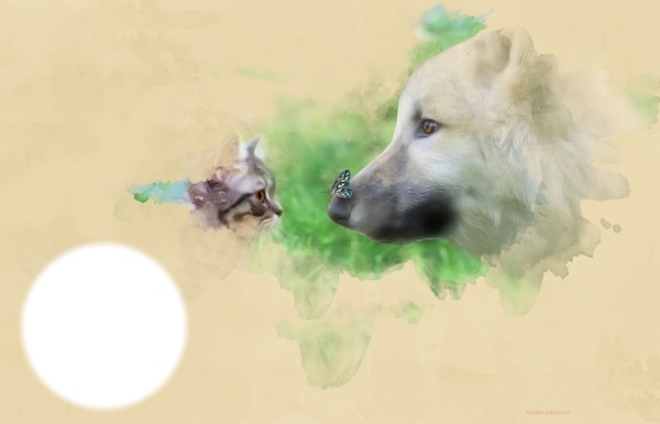 chien chat Photomontage