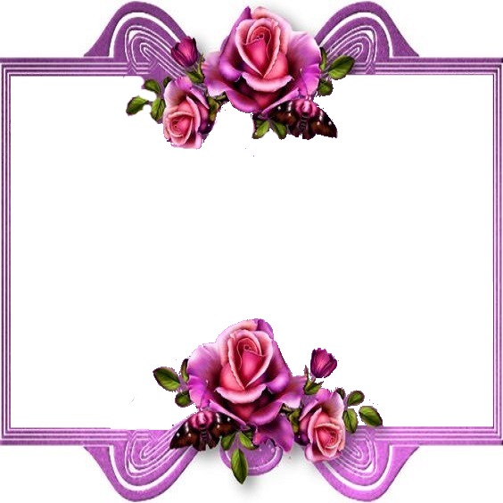 marco lila y rosas rosadas. Fotomontáž