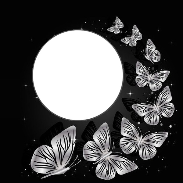circulo y mariposas grises Fotomontáž