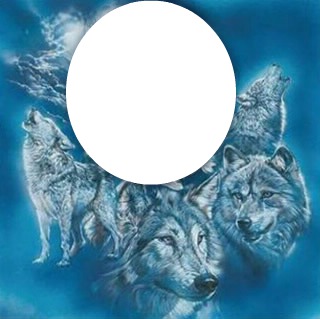 wolf pack Fotomontāža
