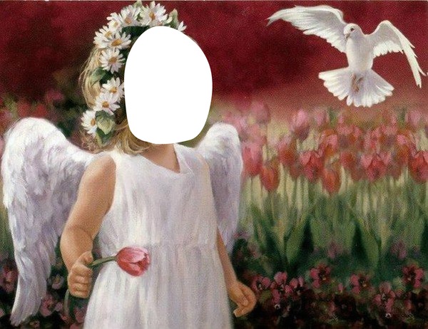 ange enfant colombe Photo frame effect