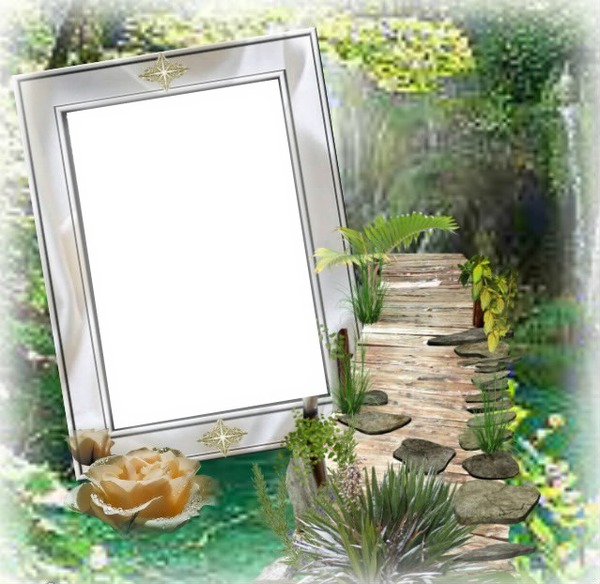 Cadre nature Photo frame effect