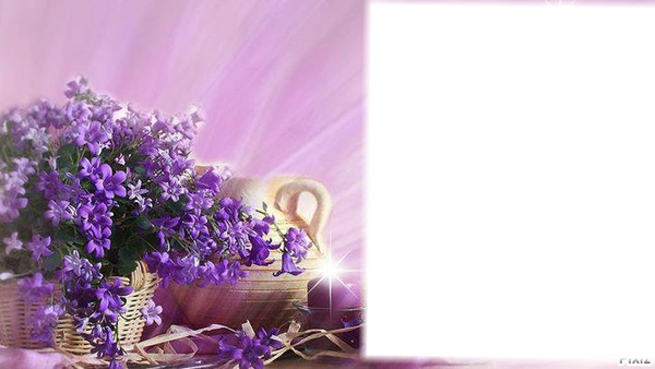 lilas Photo frame effect
