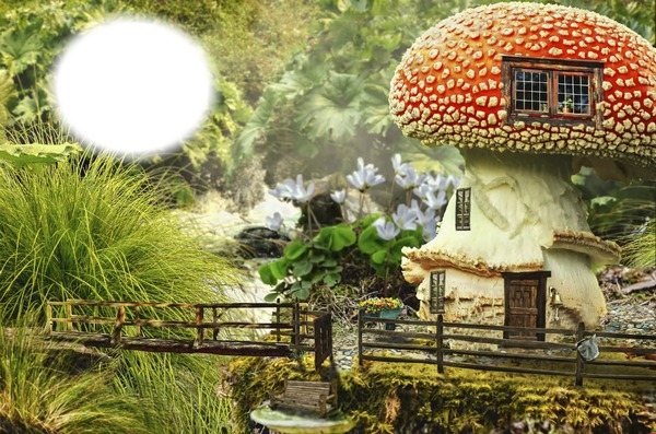 Fairy house ! Fotomontáž