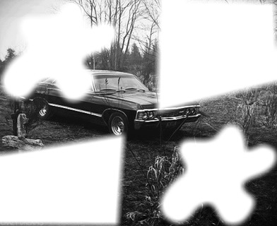 Impala Fotomontage