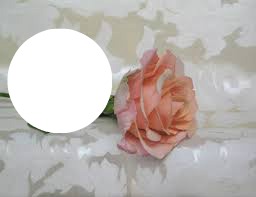 cadre rose Fotomontaža