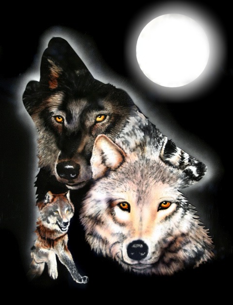 wolf pack Photo frame effect