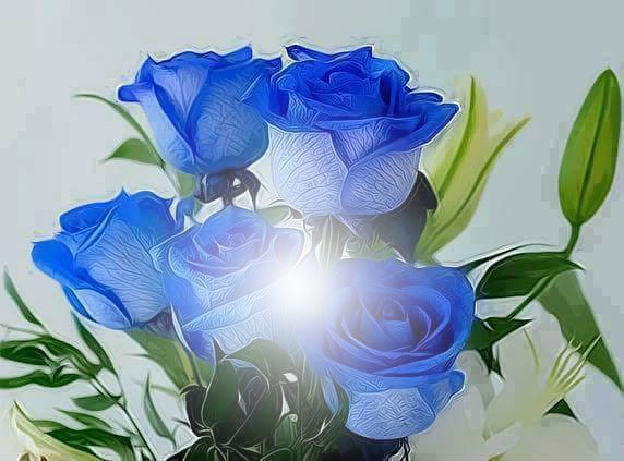 roses bleu Fotomontasje