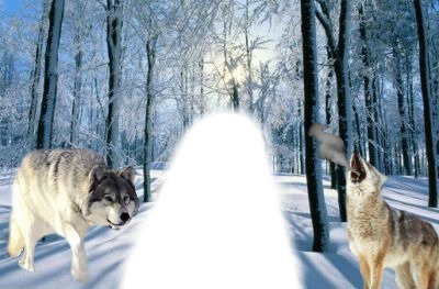 Entre les loups Fotomontáž