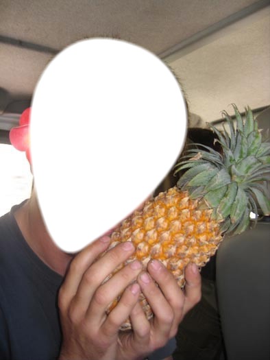 ananas Valokuvamontaasi