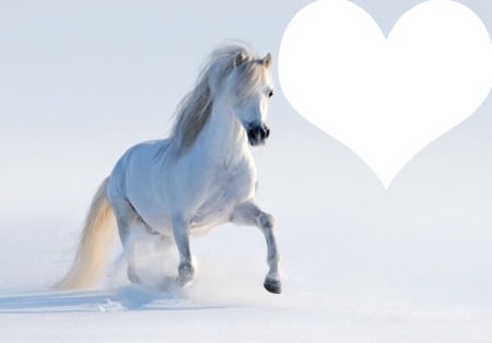 cheval blanc d'hiver Montaje fotografico