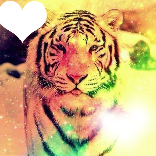 Le tigre *_* Fotomontage