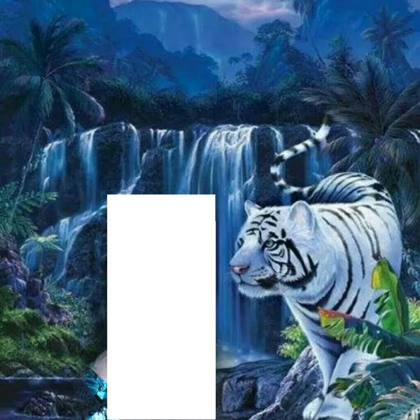 Bengal tiger Fotomontáž