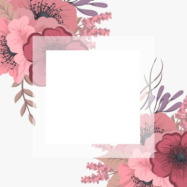 marco flores rosadas, un foto. Photo frame effect