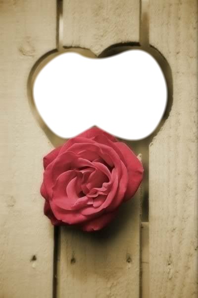 coeur et rose Fotomontagem