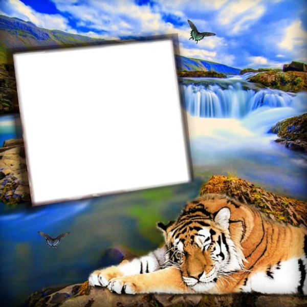 Nature avec un tigre Фотомонтажа
