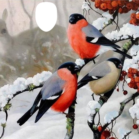 Oiseaux rouges Фотомонтаж