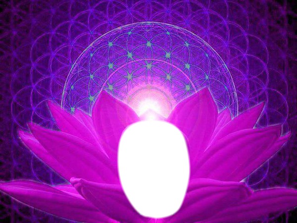 Lotus... Zénitude Photo frame effect