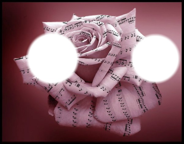 notes de musique rose Photomontage