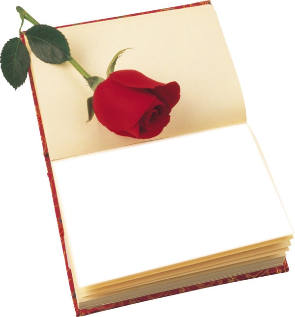 livre rose rouge Photo frame effect