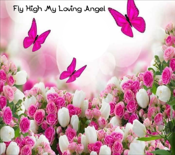 fly high Montage photo