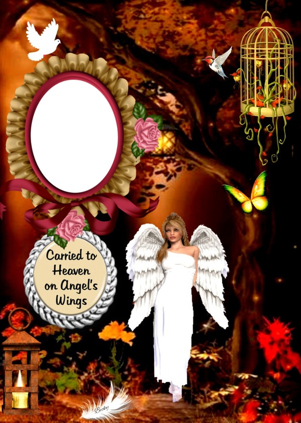 carried to heaven to heaven on angel wings Photo frame effect