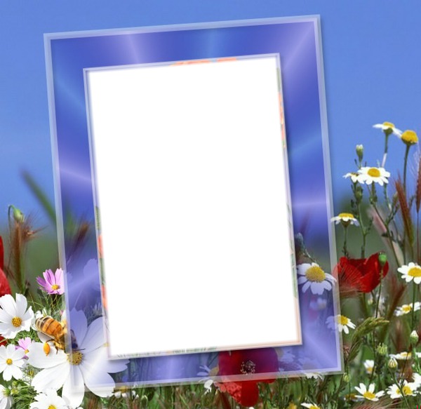 cadre fleuris Photo frame effect