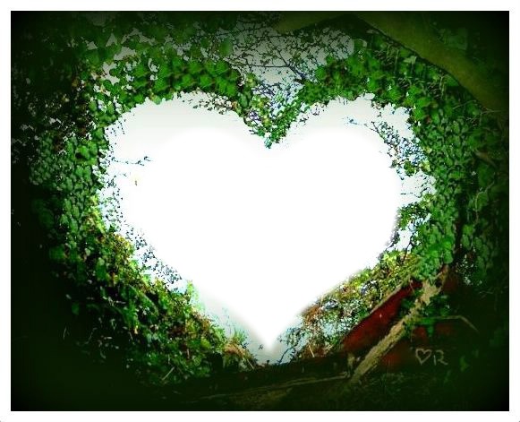 coeur en forêt Fotomontage