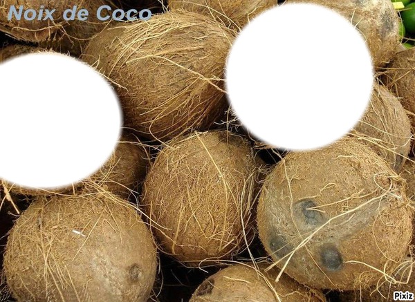 noix de coco pour les un peu noix de coco Fotomontagem