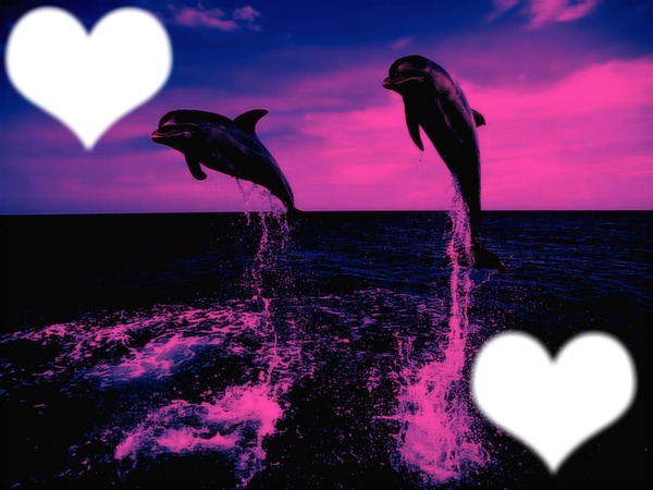 cadre de dauphins Fotomontagem