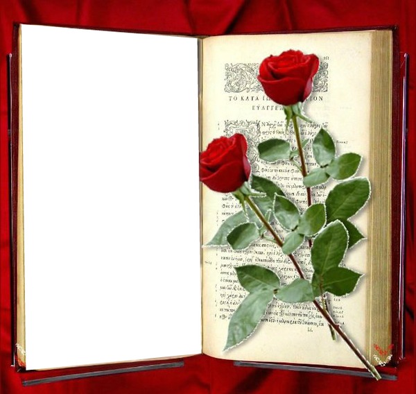 flores con libro Photomontage