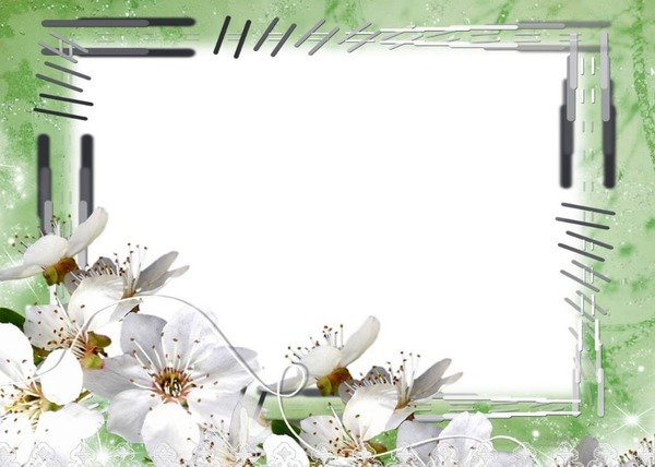 Cadre vert-fleurs blanches Fotomontage