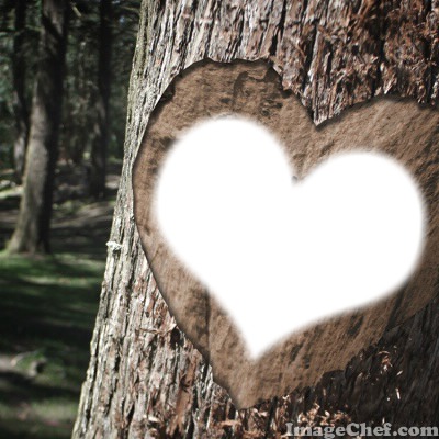 Tree Heart Fotomontage