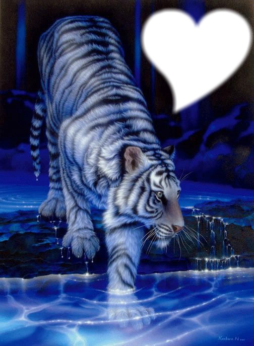 tigre b lanc Fotomontage
