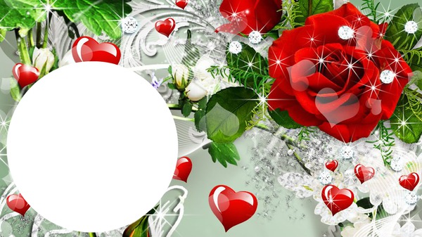 Red Roses <3 Photomontage