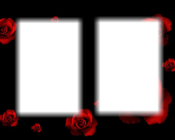 red roses and black Photo frame effect