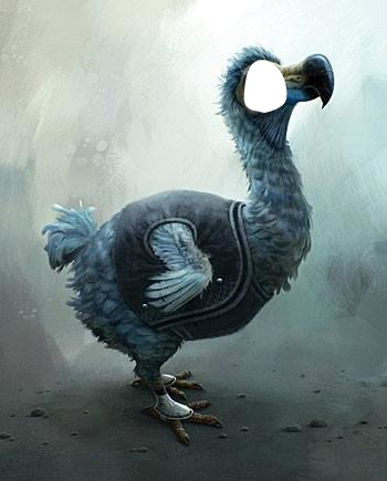 le dodo d'alice フォトモンタージュ