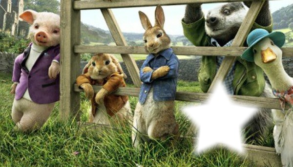Peter rabbit Fotomontage